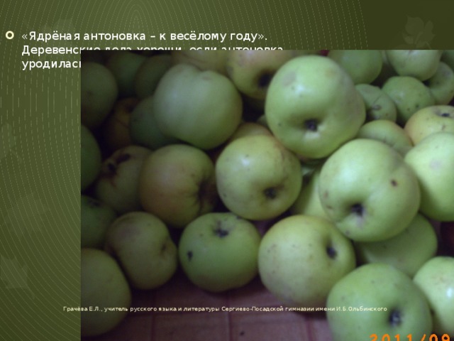 «Ядрёная антоновка – к весёлому году». Деревенские дела хороши, если антоновка уродилась: значит, и хлеб уродился… Грачёва Е.Л., учитель русского языка и литературы Сергиево-Посадской гимназии имени И.Б.Ольбинского 