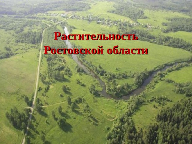 Растительность  Ростовской области 