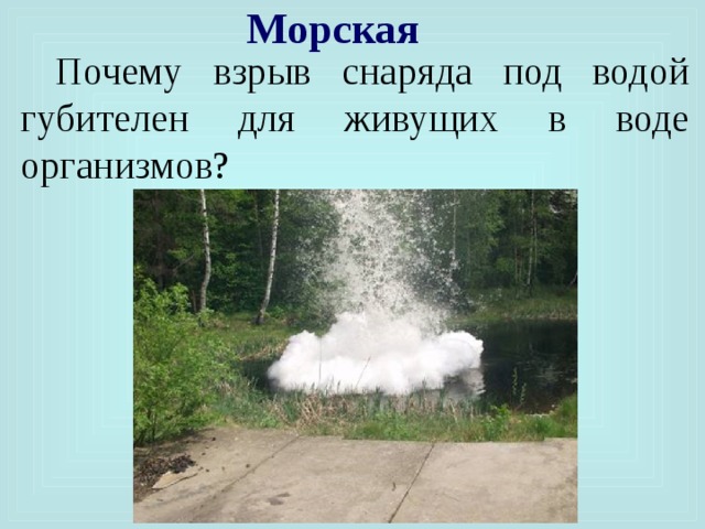 Почему взрывается. Почему взрыв снаряда под водой. Почему взрыв снаряда под водой губителен для живущих. Взрыв снаряда под водой губителен для живущих в воде организмов. Почему взрыв снаряда в воде губителен для живущих в воде организмов.