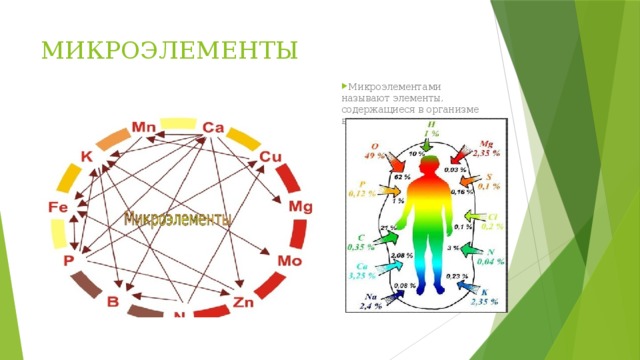 Химические элементы в организме человека рисунок