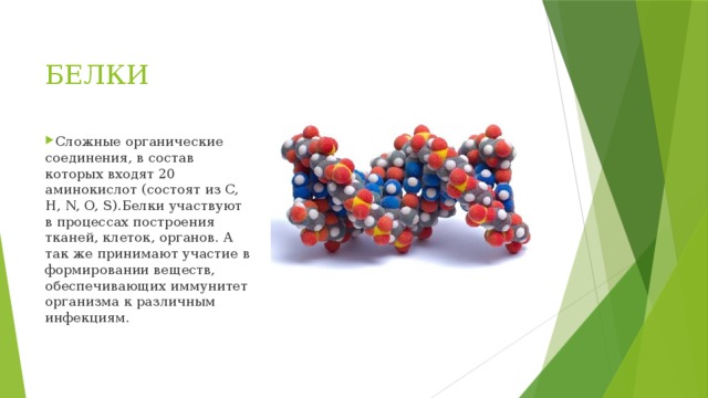 Сложные белки презентация