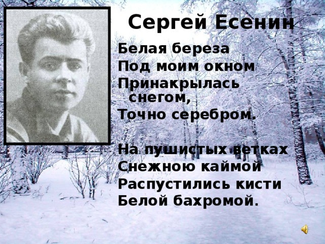 Есенин белая береза под моим окном