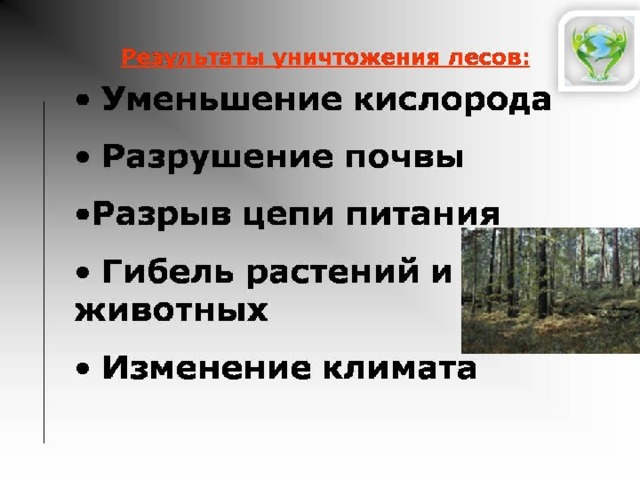 Мир глазами эколога 4 класс проект