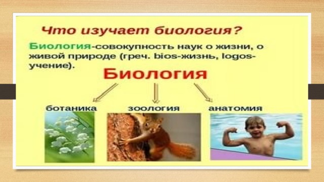 2 науки о природе. Общее название наук о природе. Какое общее название имеют науки о природе. Какое общее название имеют науки о природе 5 класс география. Какие общее название имеют науки о природе ответ кратко.