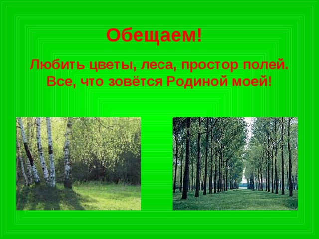 Обещаем! Любить цветы, леса, простор полей.  Все, что зовётся Родиной моей!  