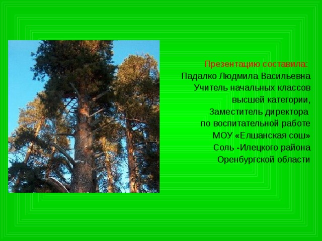 Презентацию составила:  Падалко Людмила Васильевна Учитель начальных классов высшей категории, Заместитель директора по воспитательной работе МОУ «Елшанская сош» Соль -Илецкого района Оренбургской области 