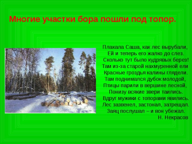 Многие участки бора пошли под топор. Плакала Саша, как лес вырубали,  Ей и теперь его жалко до слез.  Сколько тут было кудрявых берез!  Там из-за старой нахмуренной ели  Красные гроздья калины глядели.  Там поднимался дубок молодой,  Птицы парили в вершине лесной,  Понизу всякие звери таились.  Вдруг мужики с топорами явились.  Лес зазвенел, застонал, затрещал.  Заяц послушал – и вон убежал.  Н. Некрасов 