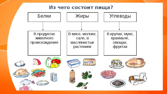 Рисунки белков жиров и углеводов