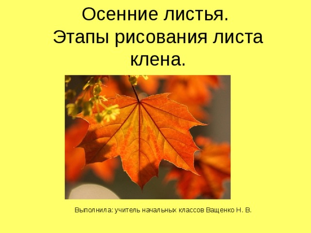 Осенние листья.  Этапы рисования листа клена. Выполнила: учитель начальных классов Ващенко Н. В. 