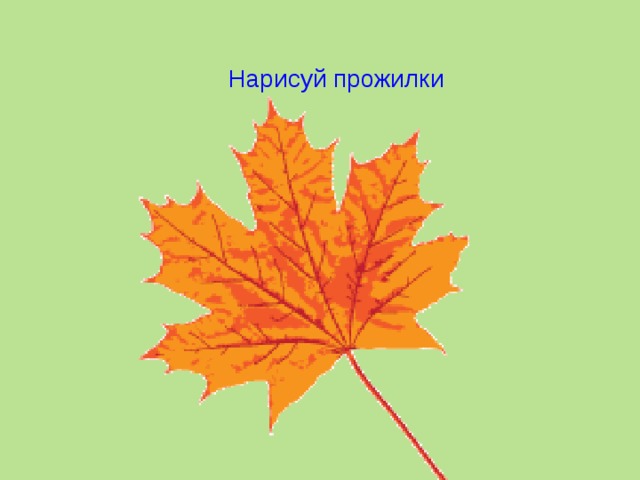 Нарисуй прожилки 