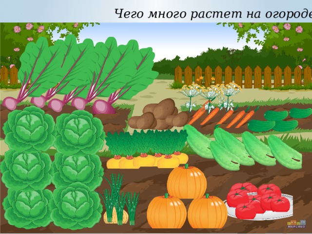 Как на нашей грядке выросли. Лексическая тема огород грядка. Картинка огород тема недели. Картинки овощи на грядке для дошкольников. Картинки к теме недели наш огород.