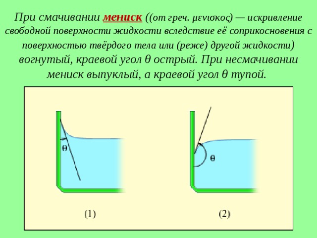 Презентация по теме поверхностное натяжение 10 класс