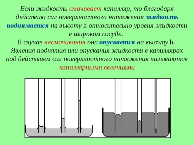 Поверхностное натяжение и капиллярные явления в природе и технике презентация