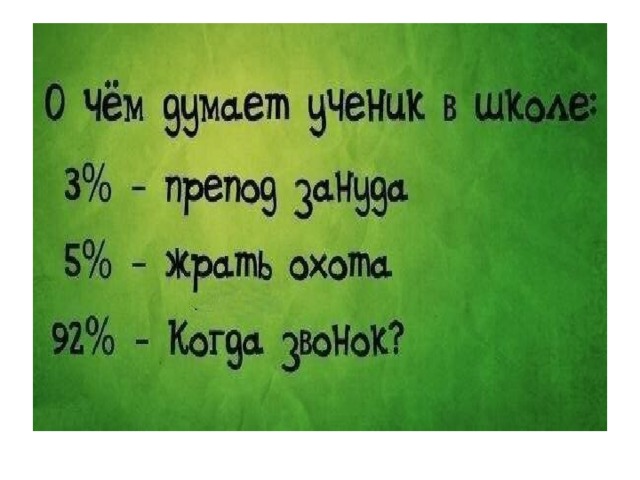 Цитаты про школу. Смешные цитаты про школу. Смешные фразы про школу. Смешные школьные высказывания. Смешные высказывания про школу.