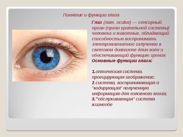 Основные функции зрения. Функции глаза. Понятие глаз. Термины глаза. Функции зрения.