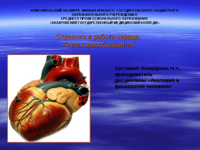     КОМСОМОЛЬСКИЙ-НА-АМУРЕ ФИЛИАЛ КРАЕВОГО ГОСУДАРСТВЕННОГО БЮДЖЕТНОГО ОБРАЗОВАТЕЛЬНОГО УЧЕРЕЖДЕНИЕЯ  СРЕДНЕГО ПРОФЕССИОНАЛЬНОГО ОБРАЗОВАНИЯ  «ХАБАРОВСКИЙ ГОСУДАРСТВЕННЫЙ МЕДИЦИНСКИЙ КОЛЛЕДЖ»   Строение и работа сердца. Круги кровообращения. Составил: Кокшарова Н.У., преподаватель дисциплины «Анатомия и физиология человека»   