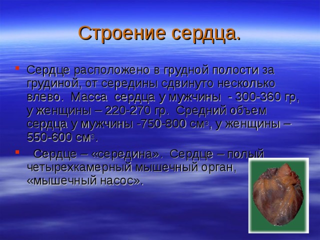 Строение сердца. Сердце расположено в грудной полости за грудиной, от середины сдвинуто несколько влево. Масса сердца у мужчины - 300-360 гр, у женщины – 220-270 гр. Средний объем сердца у мужчины -750-800 см 3 , у женщины – 550-600 см 3 .  Сердце – «середина». Сердце – полый четырехкамерный мышечный орган, «мышечный насос». 