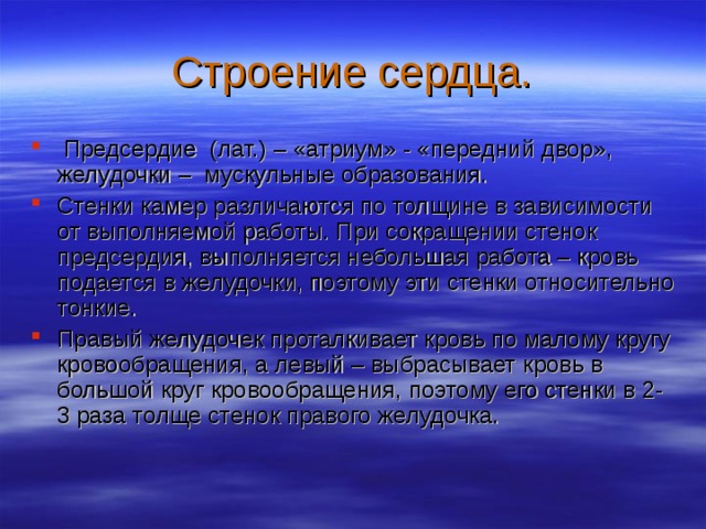 Строение сердца.  Предсердие (лат.) – «атриум» - «передний двор», желудочки – мускульные образования. Стенки камер различаются по толщине в зависимости от выполняемой работы. При сокращении стенок предсердия, выполняется небольшая работа – кровь подается в желудочки, поэтому эти стенки относительно тонкие. Правый желудочек проталкивает кровь по малому кругу кровообращения, а левый – выбрасывает кровь в большой круг кровообращения, поэтому его стенки в 2-3 раза толще стенок правого желудочка.  