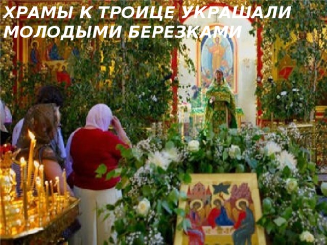 ХРАМЫ К ТРОИЦЕ УКРАШАЛИ МОЛОДЫМИ БЕРЕЗКАМИ 