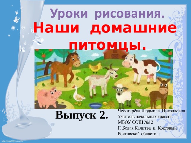 Наши домашние питомцы. Выпуск 2. 