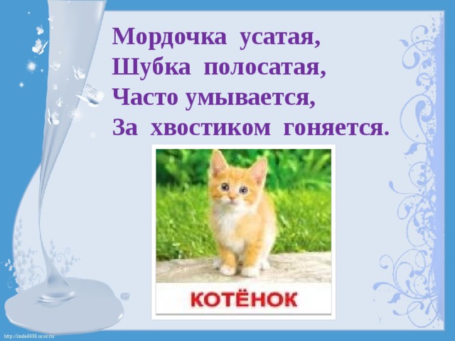 Мордочка усатая, Шубка полосатая, Часто умывается, За хвостиком гоняется. 