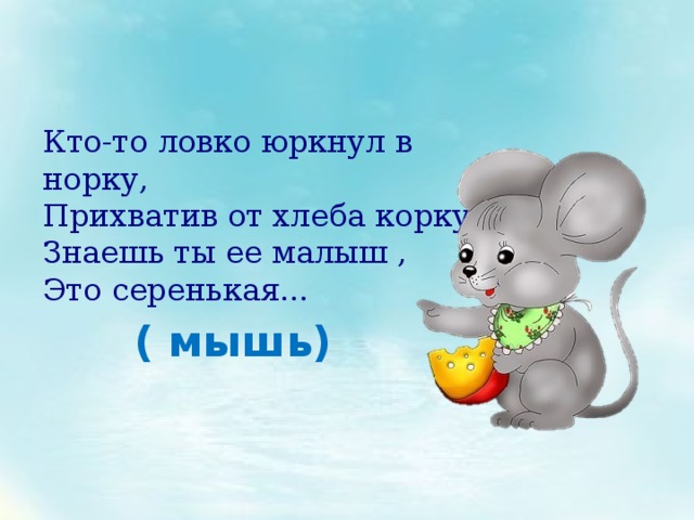 Кто-то ловко юркнул в норку,  Прихватив от хлеба корку  Знаешь ты ее малыш ,  Это серенькая... ( мышь) 