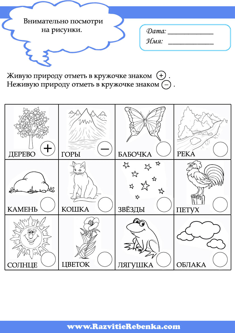 Предметная неделя в начальной школе. Окружающий мир. 1 класс