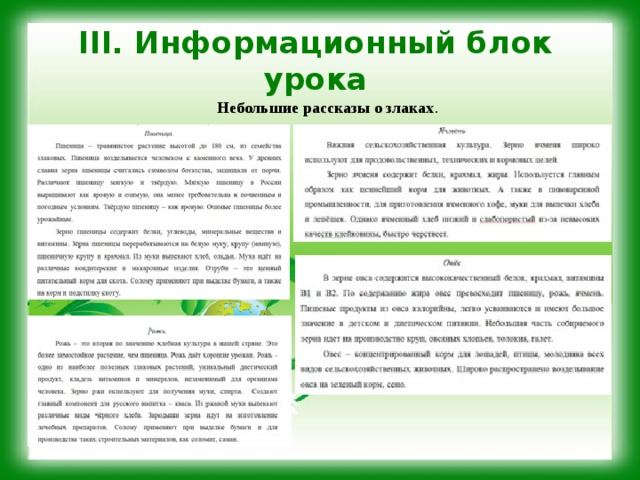 III. Информационный блок урока Небольшие рассказы о злаках . 