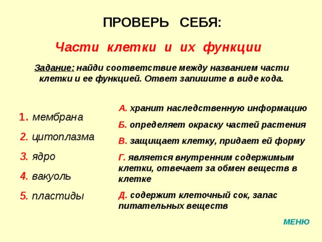 ПРОВЕРЬ СЕБЯ: Части клетки и их функции Задание:  найди соответствие между названием части клетки и ее функцией. Ответ запишите в виде кода. А. хранит наследственную информацию Б. определяет окраску частей растения В. защищает клетку, придает ей форму Г. является внутренним содержимым клетки, отвечает за обмен веществ в клетке Д. содержит клеточный сок, запас питательных веществ 1. мембрана  2. цитоплазма  3. ядро  4. вакуоль  5. пластиды МЕНЮ 