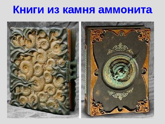Книги из камня аммонита 