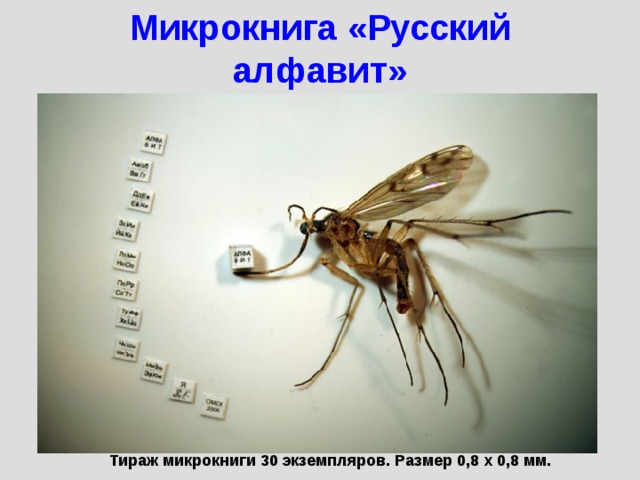 Микрокнига «Русский алфавит» Тираж микрокниги 30 экземпляров. Размер 0,8 x 0,8 мм. 