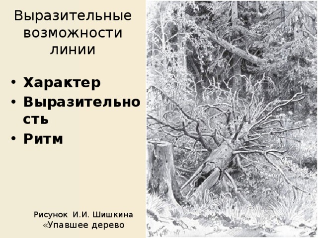 Выразительные возможности линии Характер Выразительность Ритм  Рисунок И.И. Шишкина  «Упавшее дерево 