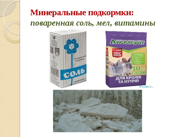 Минеральные подкормки:  поваренная соль, мел, витамины 