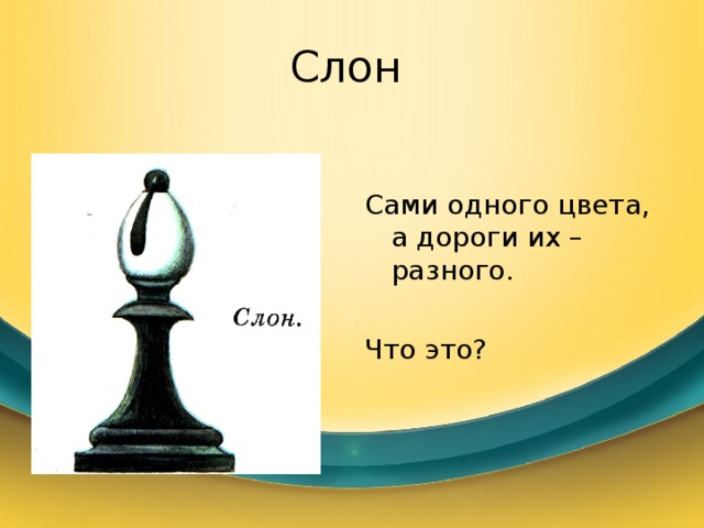 Слон Сами одного цвета, а дороги их – разного. Что это? 