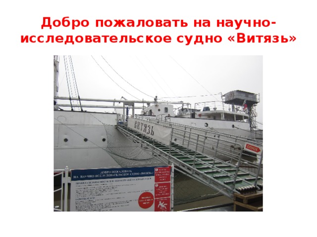 Добро пожаловать на научно-исследовательское судно «Витязь» 