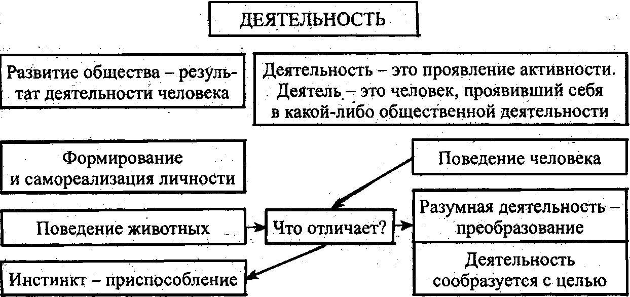 Схема структура деятельности обществознание