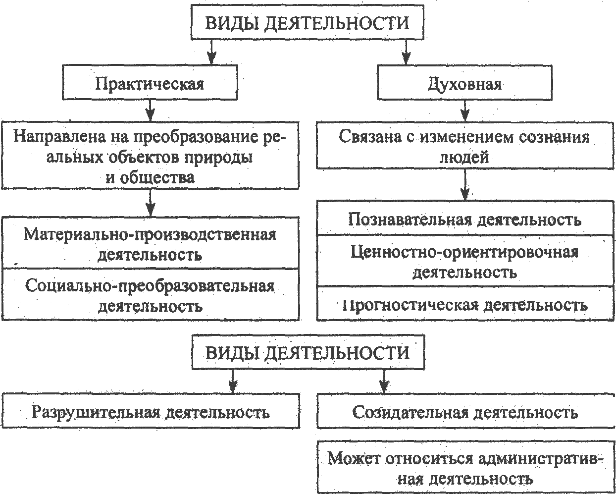 Виды деятельности схема обществознание