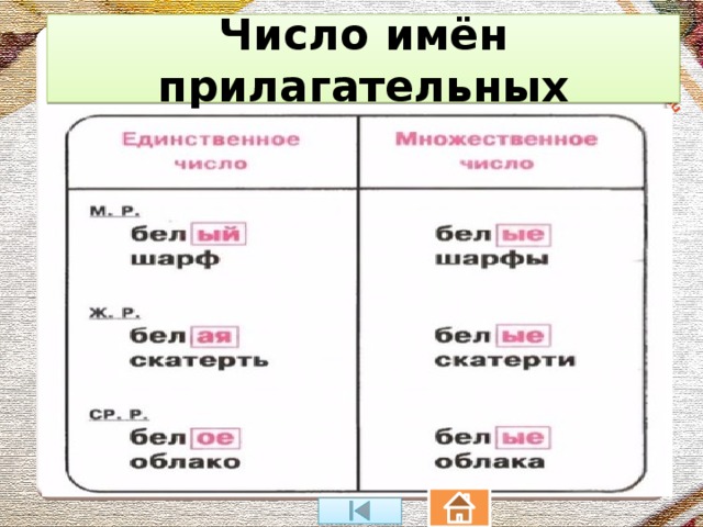 Число прилагательных