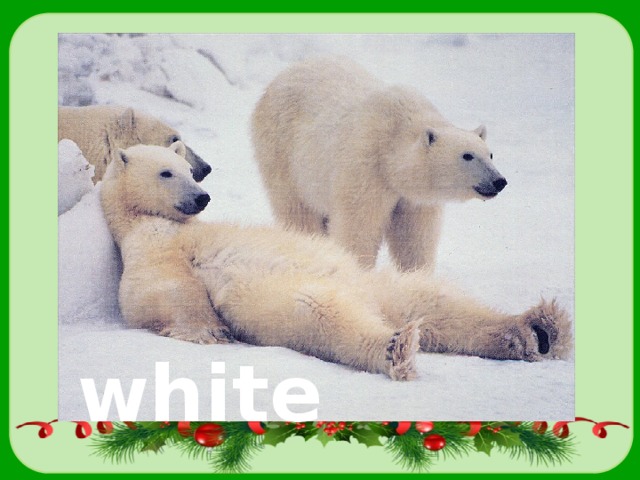 white 