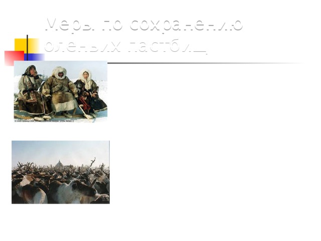 Меры по сохранению оленьих пастбищ 