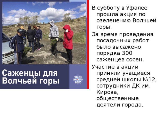 В субботу в Уфалее прошла акция по озеленению Волчьей горы. За время проведения посадочных работ было высажено порядка 300 саженцев сосен. Участие в акции приняли учащиеся средней школы №12, сотрудники ДК им. Кирова, общественные деятели города. 