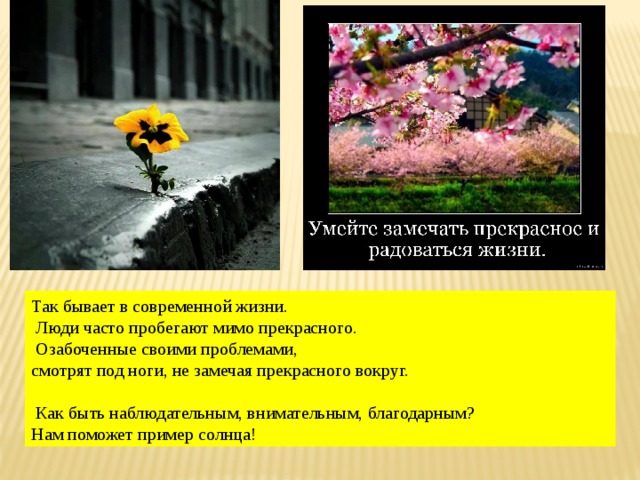 Так бывает в современной жизни.  Люди часто пробегают мимо прекрасного.  Озабоченные своими проблемами, смотрят под ноги, не замечая прекрасного вокруг.  Как быть наблюдательным, внимательным, благодарным? Нам поможет пример солнца! 