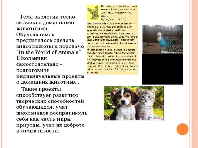  Тема экологии тесно связана с домашними животными. Обучающимся предлагалось сделать видеосюжеты к передаче “In the World of Animals” Школьники самостоятельно – подготовили индивидуальные проекты о домашних животных .  Такие проекты способствует развитию творческих способностей обучающихся, учат школьников воспринимать себя как часть мира, природы, учат их доброте и отзывчивости. 
