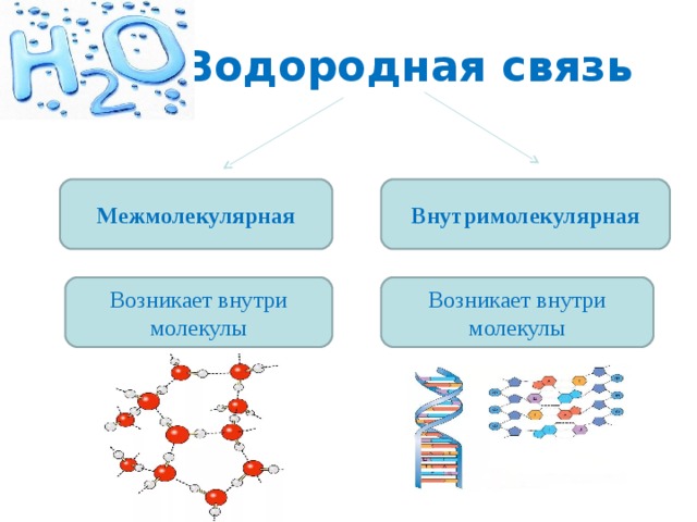 Водородная связь Межмолекулярная Внутримолекулярная Возникает внутри молекулы Возникает внутри молекулы 