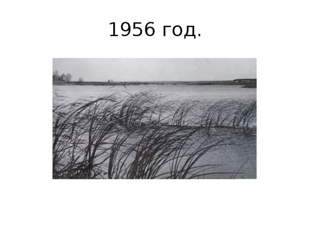 1956 год. 