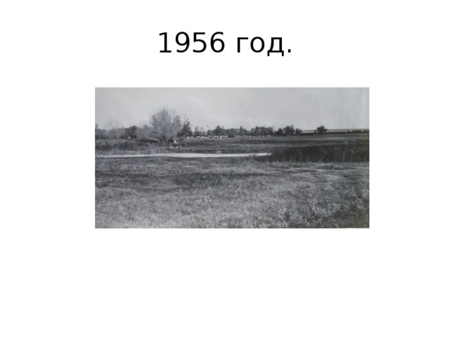 1956 год. 