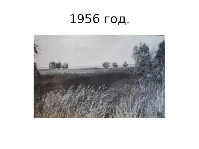 1956 год. 