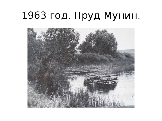 1963 год. Пруд Мунин. 