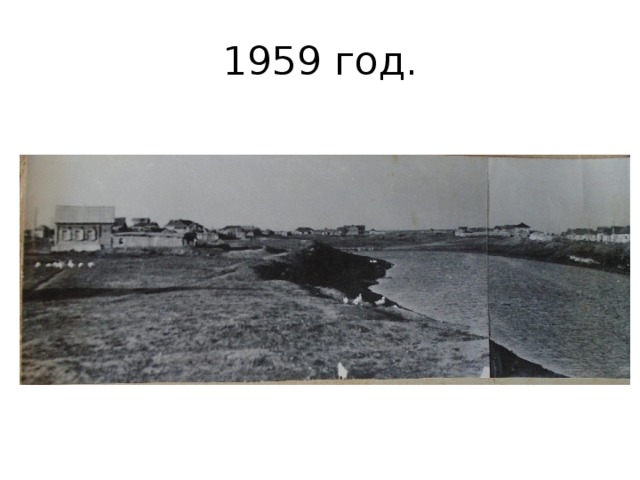 1959 год. 