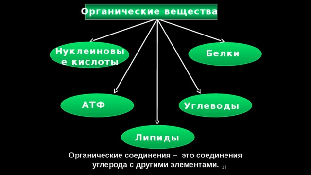 Органические вещества Нуклеиновые кислоты Белки АТФ Углеводы Липиды Органические соединения – это соединения углерода с другими элементами. 12 